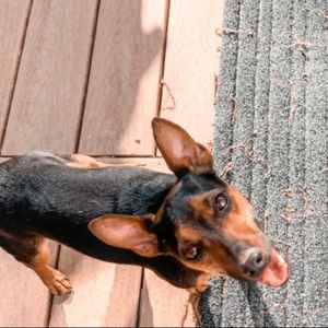 Meet your Posher, Kate